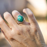 The Ebb & Flow Ring in Royston Turquoise (Size 7.75)