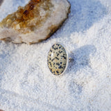 Dalmatian Jasper Ring (Size 9)