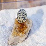 Dalmatian Jasper Ring (Size 9)