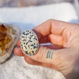 Dalmatian Jasper Ring (Size 9)