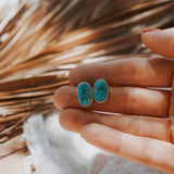 Stud Earrings in Sonoran Mtn Turquoise