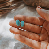 Stud Earrings in Sonoran Mtn Turquoise