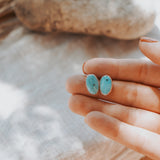 Stud Earrings in Sonoran Mtn Turquoise