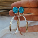 Stud Hoop Earrings in Sonoran Gem Turquoise