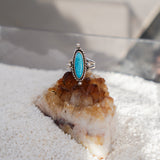 Campitos Turquoise Ring (Size 8)