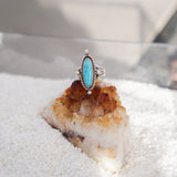 Campitos Turquoise Ring (Size 8)