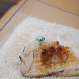 Ear Cuff in Hubei Turquoise (Made to Order)