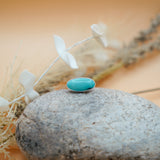 Campitos Turquoise Ring (Size 6)