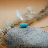 Campitos Turquoise Ring (Size 6)