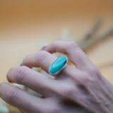 Campitos Turquoise Ring (Size 6)