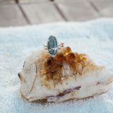 Ring in Ocean Jasper (Size 9)