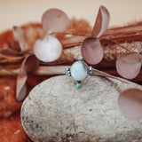 Lace Agate & Lone Mtn Turquoise Ring (Size 7)