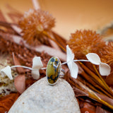 Giraffe Turquoise Ring (Size 6)