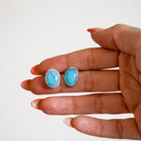 Stud Earrings in Egyptian Turquoise