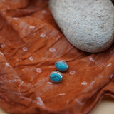 Stud Earrings in Egyptian Turquoise