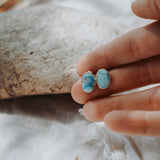 Stud Earrings in Golden Hills Turquoise