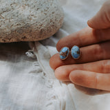 Stud Earrings in Golden Hills Turquoise