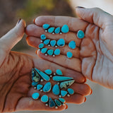 Ear Crawler + Stud Combo in Egyptian & Hubei Turquoise